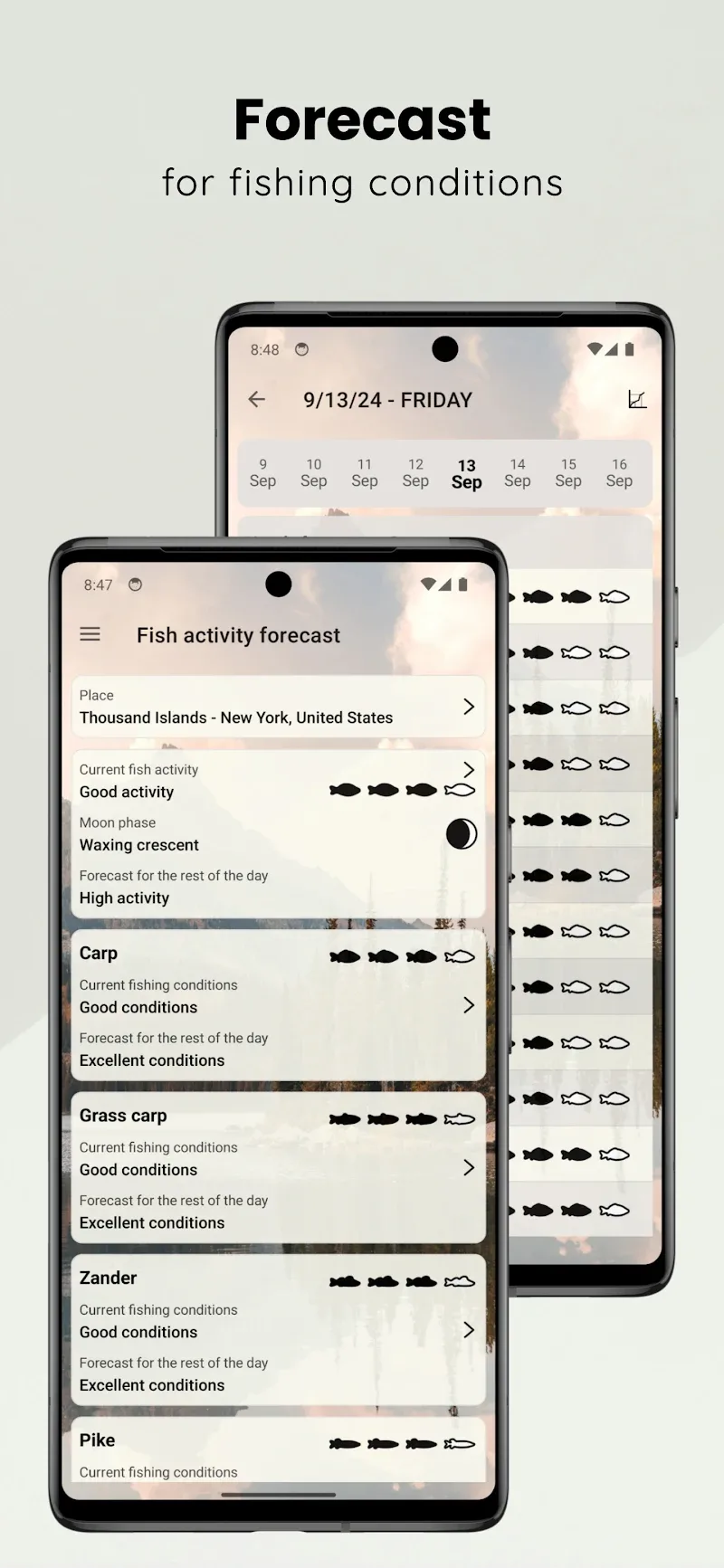 When to Fish screenshot 3