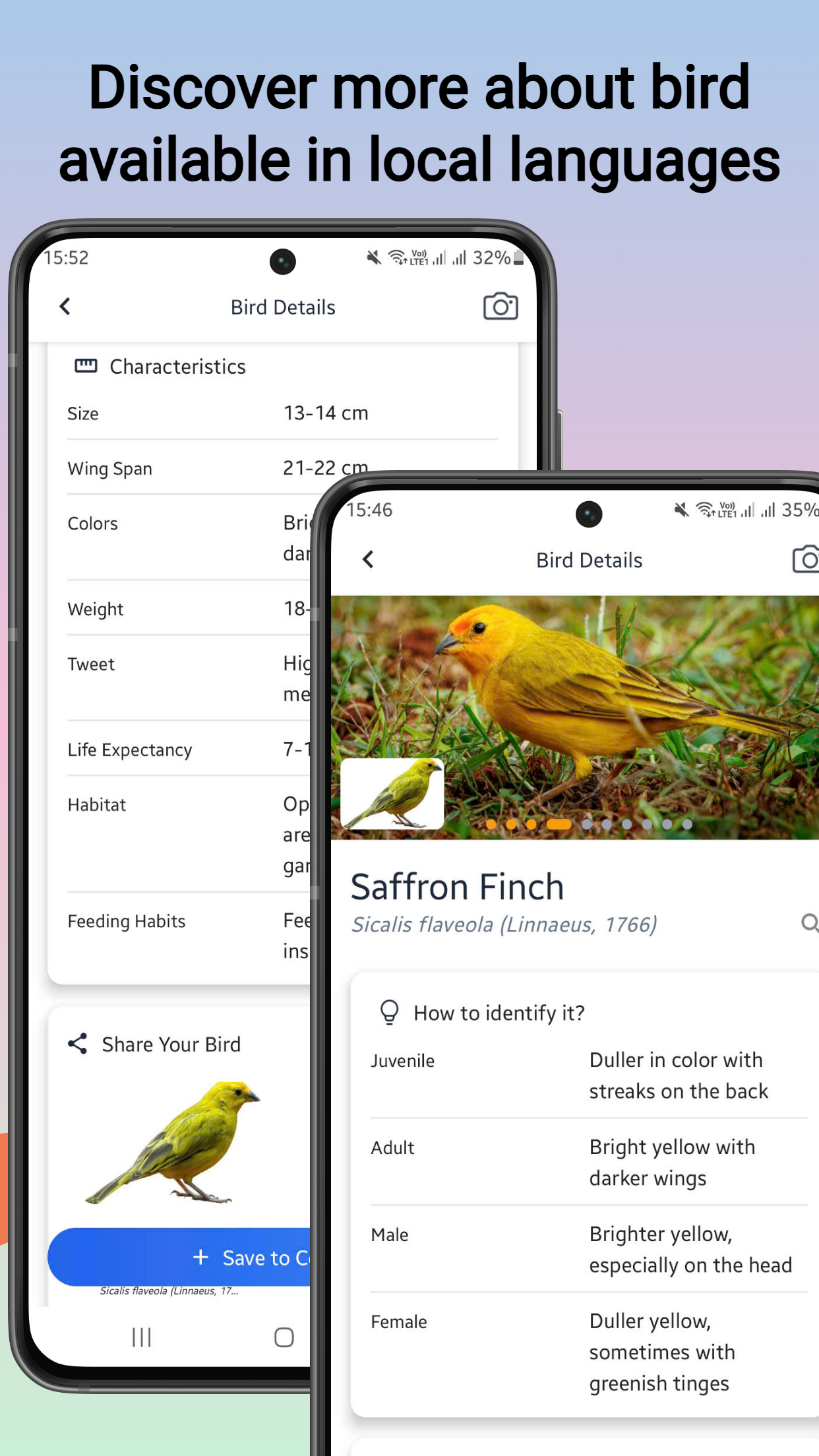 Bird identifier screenshot 1
