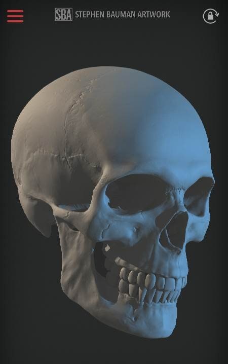 Head Study screenshot 3