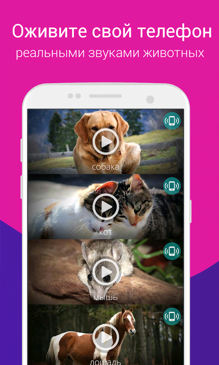 Animals Ringtones preview image 2