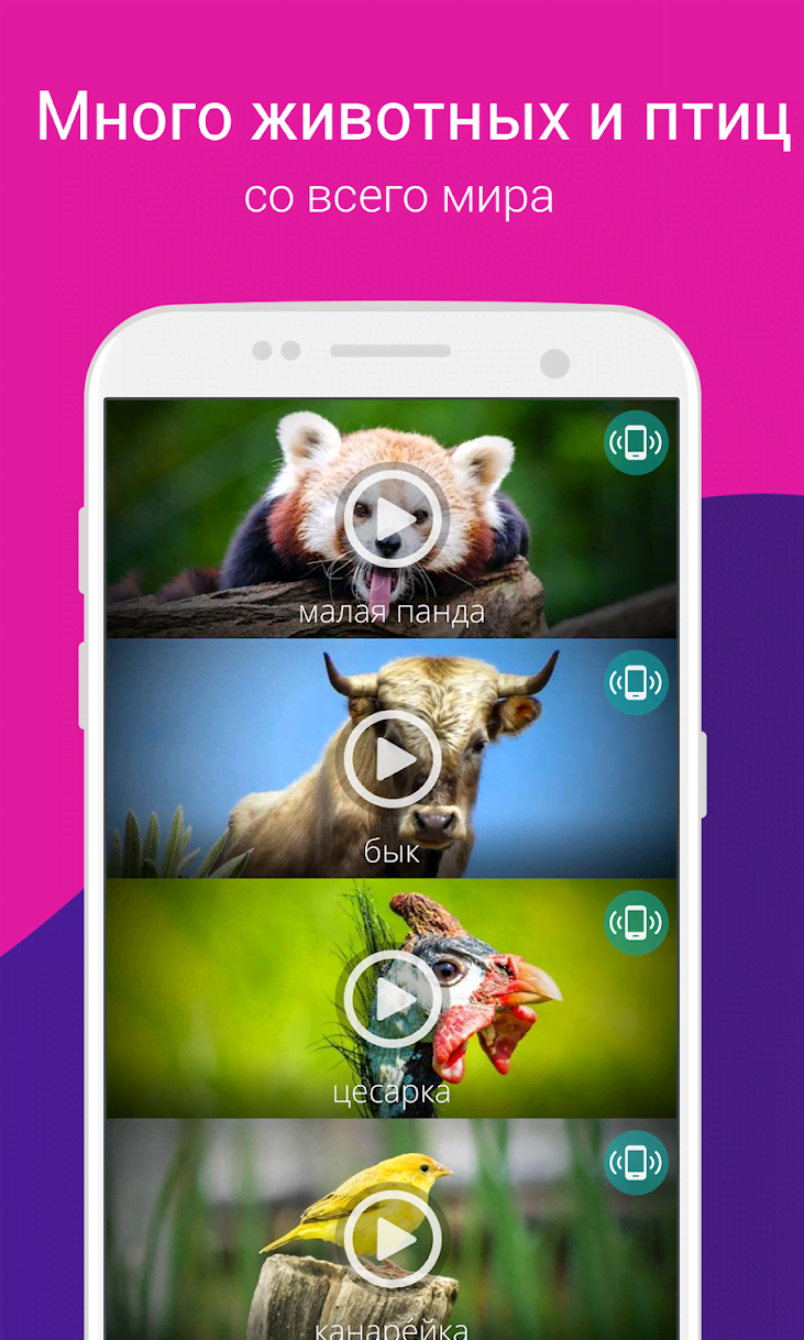 Animals Ringtones preview image 3