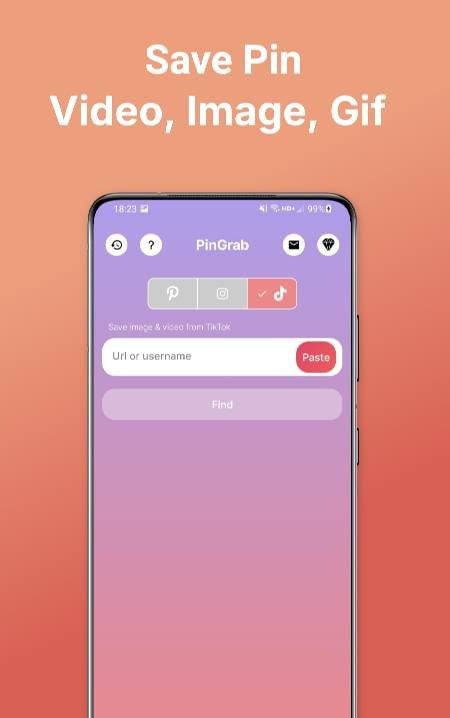 PinGrab - Pinterest Video Saver screenshot 3