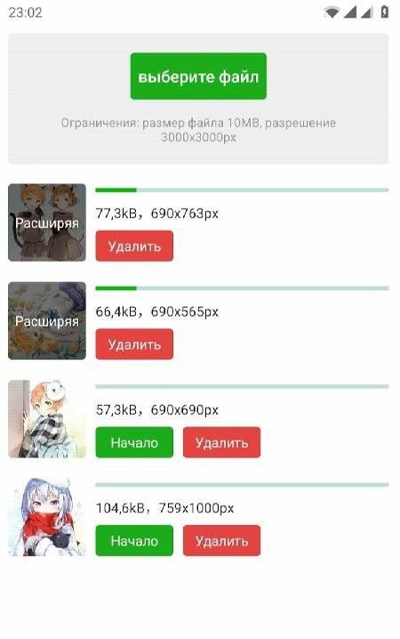 Bigjpg screenshot 1