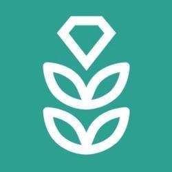 VPN Rice: Fast & Secure Proxy