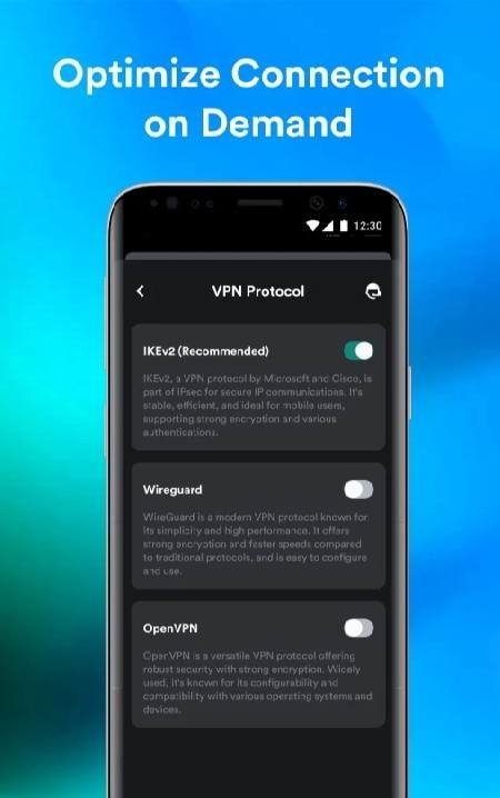 VPN Rice: Fast & Secure Proxy screenshot 2