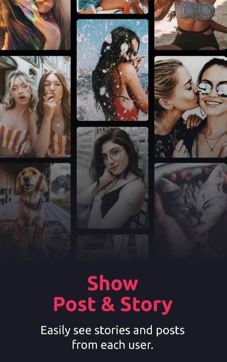 InSeen: Story & Profile Viewer screenshot 1
