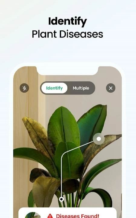 Plant App - Plant Identifier preview image 3