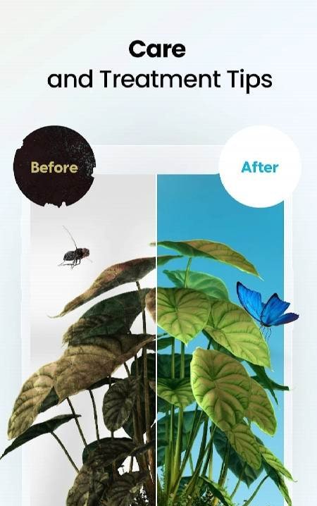 Plant App - Plant Identifier preview image 4