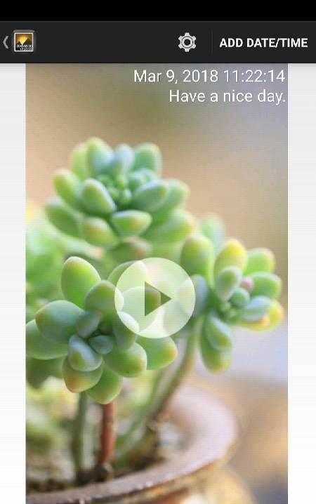 Timestamp Photo and Video Pro screenshot 1