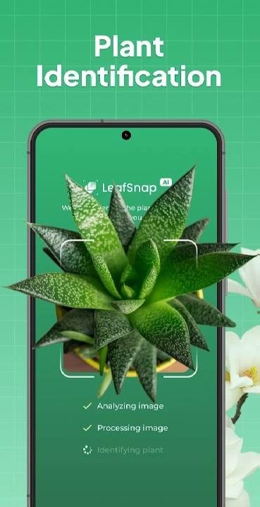 LeafSnap Plant Identification screenshot 1