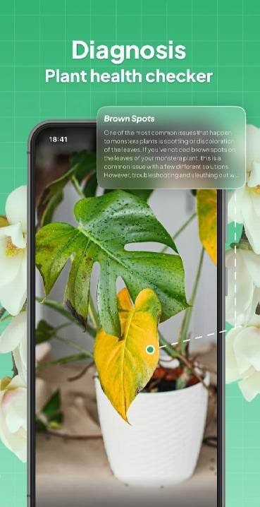 LeafSnap Plant Identification screenshot 3