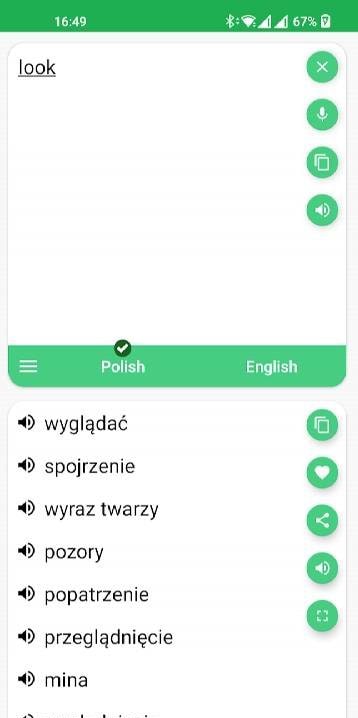 Polish - English Translator screenshot 3