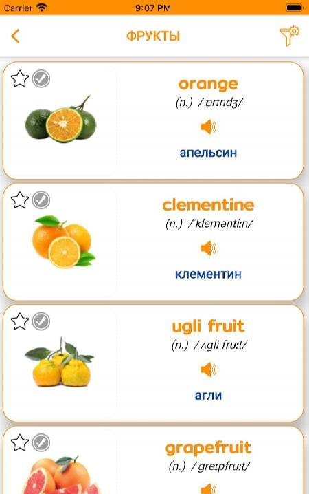 English Vocabulary screenshot 3
