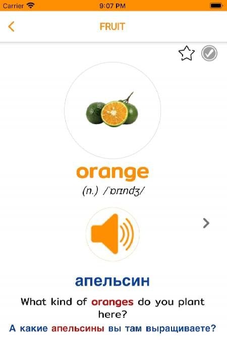 English Vocabulary screenshot 4