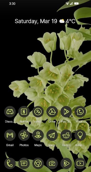 Lavien Adaptive For You preview image 4