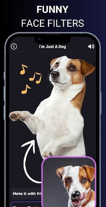 Face Song screenshot 3