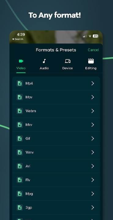 Video Converter - Remux screenshot 2