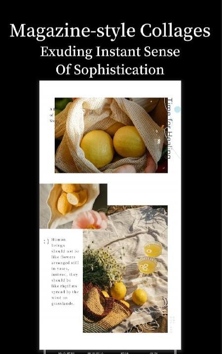 OneCollage: Collage Maker screenshot 2