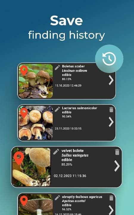 Mushroom Identification screenshot 4