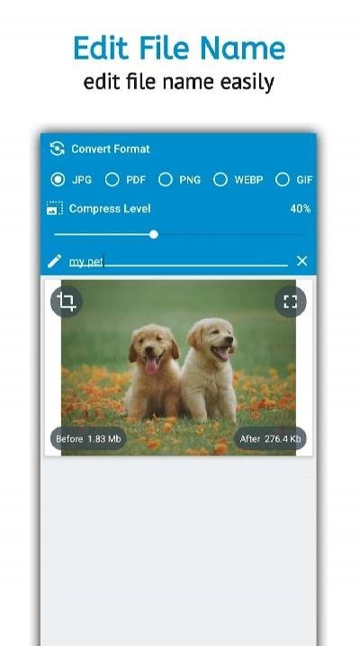Image Converter Pro screenshot 2
