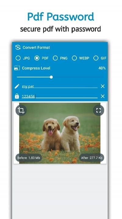 Image Converter Pro screenshot 3