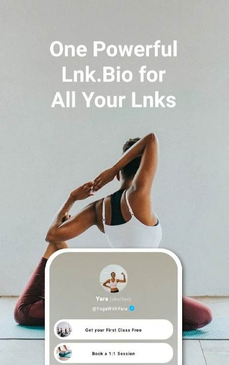 Lnk.Bio - link in bio screenshot 1