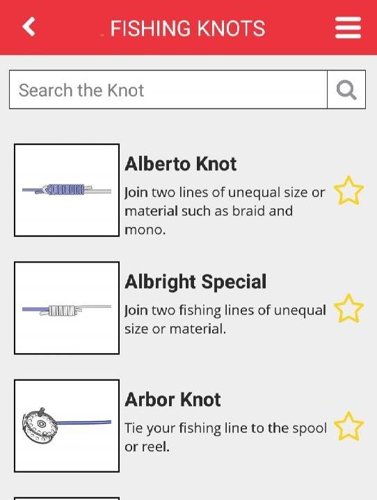 Net Knots screenshot 4