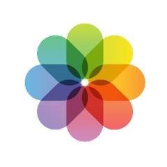 Gallery PRO
