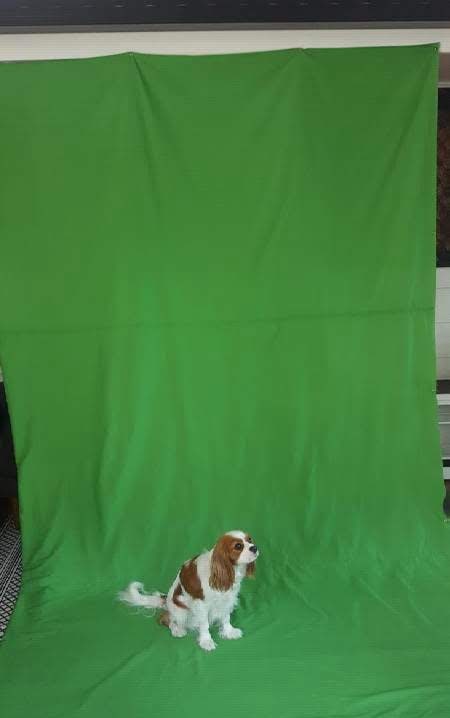 Green Screen Video screenshot 4