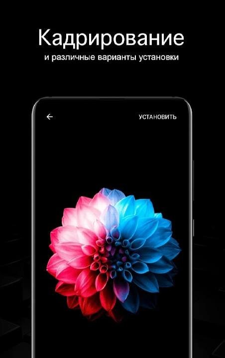 Black Wallpapers PRO screenshot 3