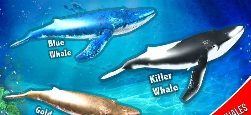 Blue Whale Simulator - Game screenshot 2