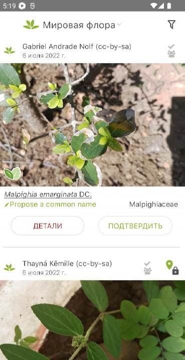 PlantNet Plant Identification screenshot 4