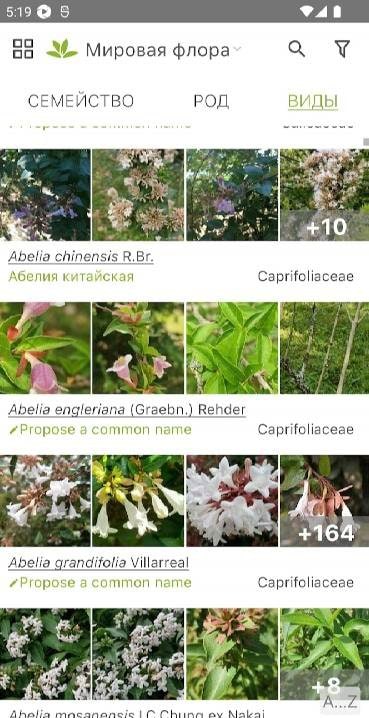 PlantNet Plant Identification screenshot 3