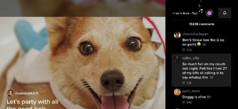 TikTok for Android TV screenshot 3
