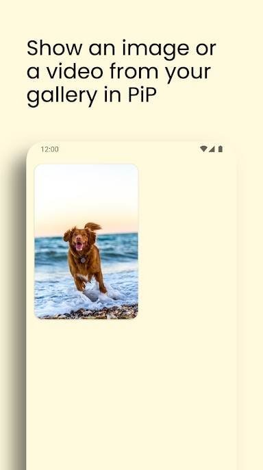 Anything to PiP multitasking functionality