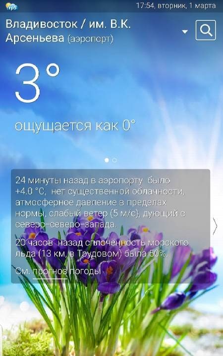 Weather rp5 (2023) screenshot 1