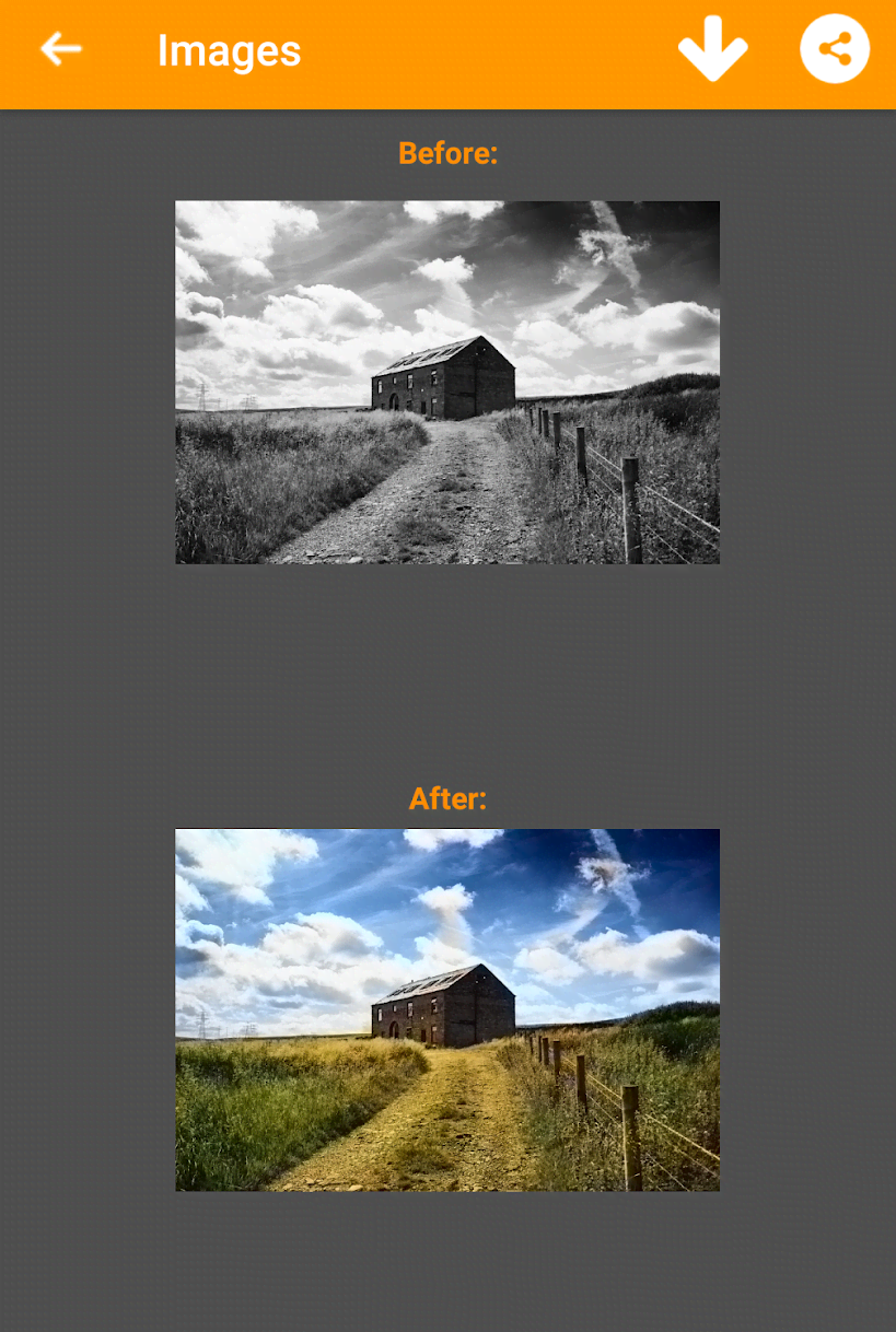Black and White Photo Colorizer-Chromatix screenshot 1