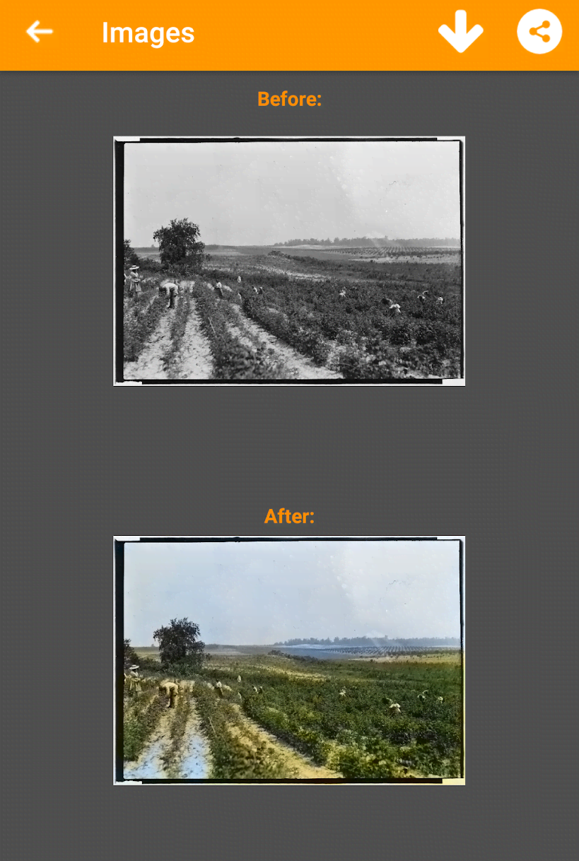 Black and White Photo Colorizer-Chromatix screenshot 3