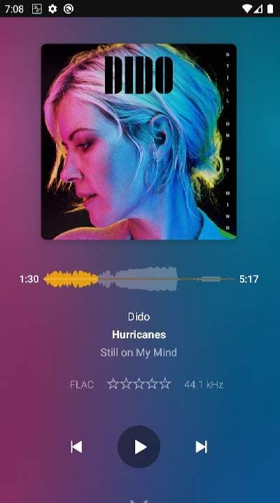 Plexamp screenshot 1