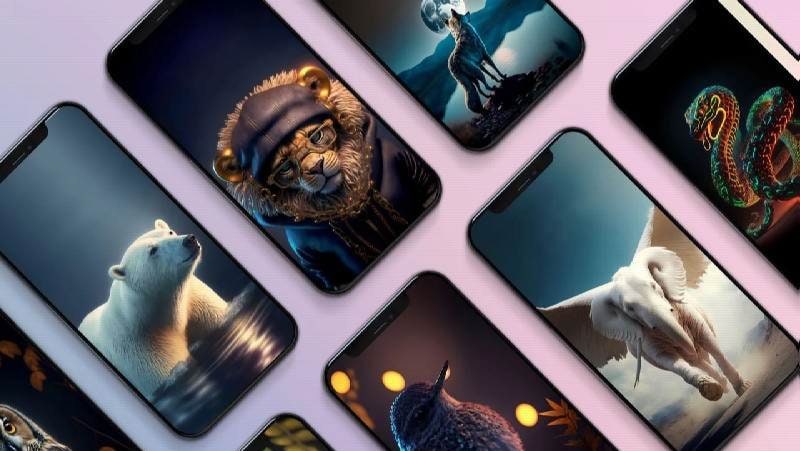 Wonder Walls screenshot 1