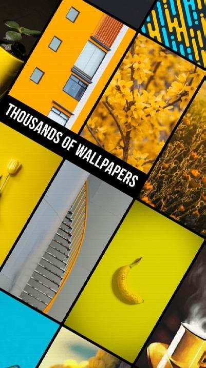 Yellow Wallpapers in HD, 4K screenshot 1