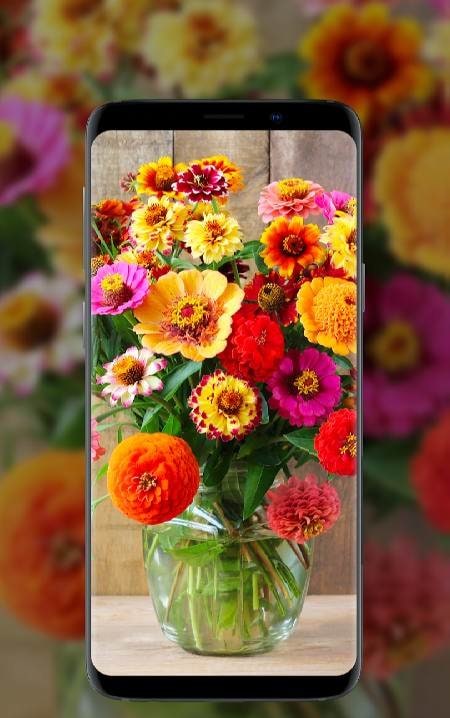 Flower Wallpapers in HD, 4K screenshot 2