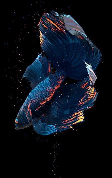 Betta Fish Live Wallpaper screenshot 1