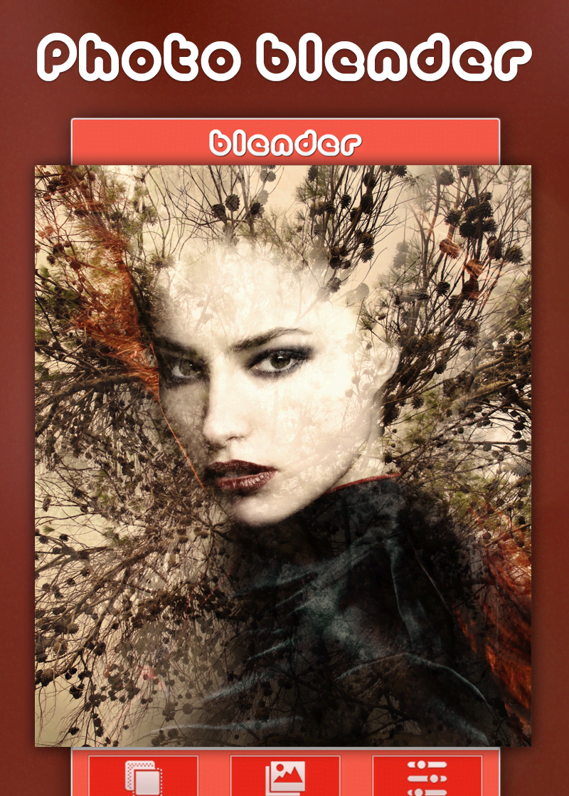 Photo Overlays - Blender screenshot 2
