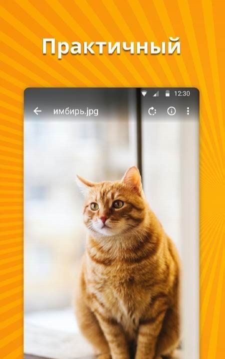 Simple Gallery screenshot 4