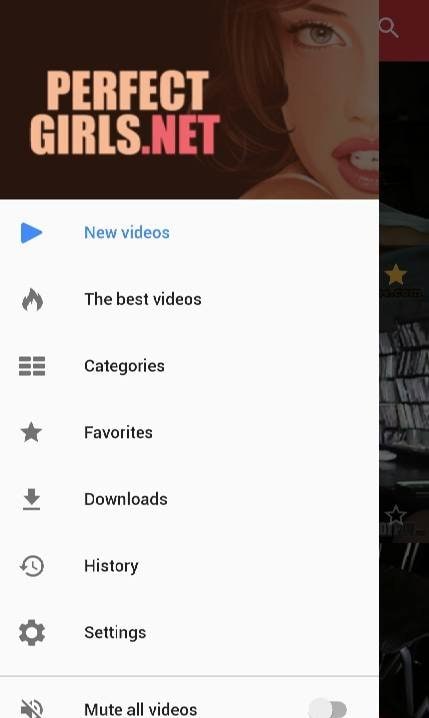 Perfect Girls screenshot 1