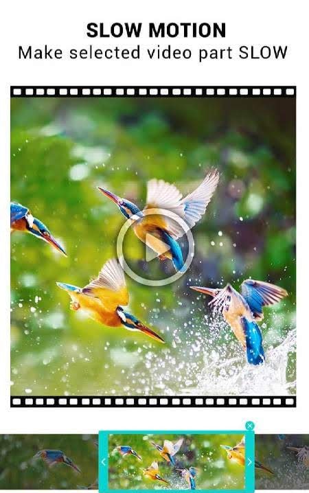 Video Speed Changer : SlowMo FastMo screenshot 1