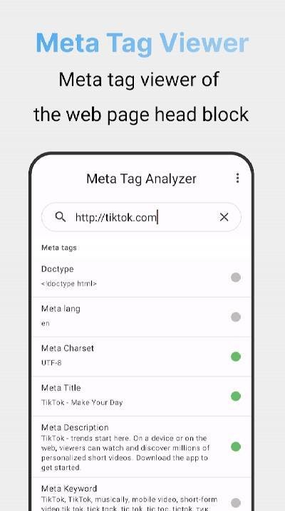 Metatag Analyzer Screenshot 4