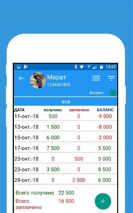 Credit Debit - Customer Ledger Preview 4