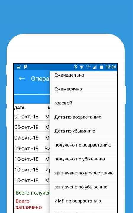 Credit Debit - Customer Ledger Preview 3